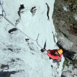 ausgebunden & aufgefellt